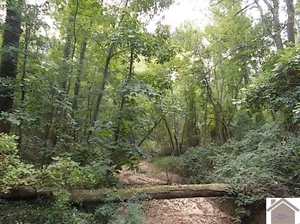 4701 Jewell Ln, Paducah, KY 42001