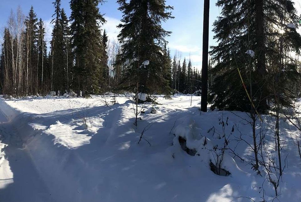 2nd image of 2563 Counsell Ln