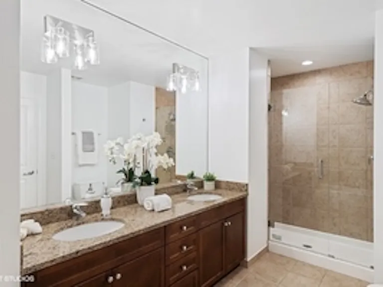 1250 S Michigan Ave #2506 — Photo 10
