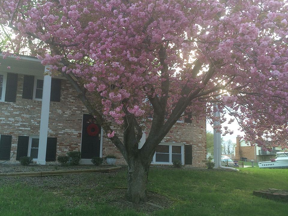 1st image of 7601 Locris Dr
