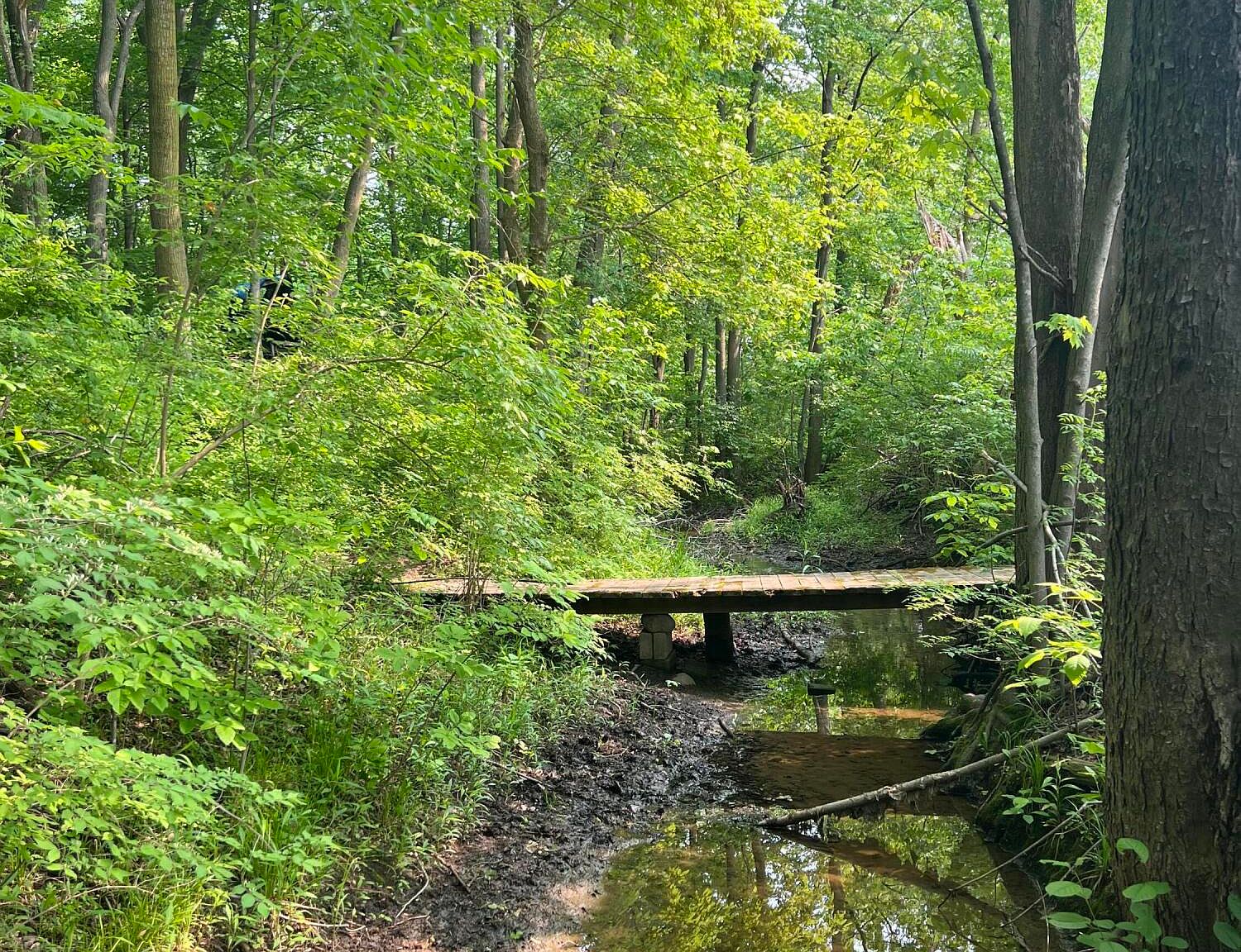 0 Hack Rd, Britton, MI 49229 MLS 24025740 Zillow