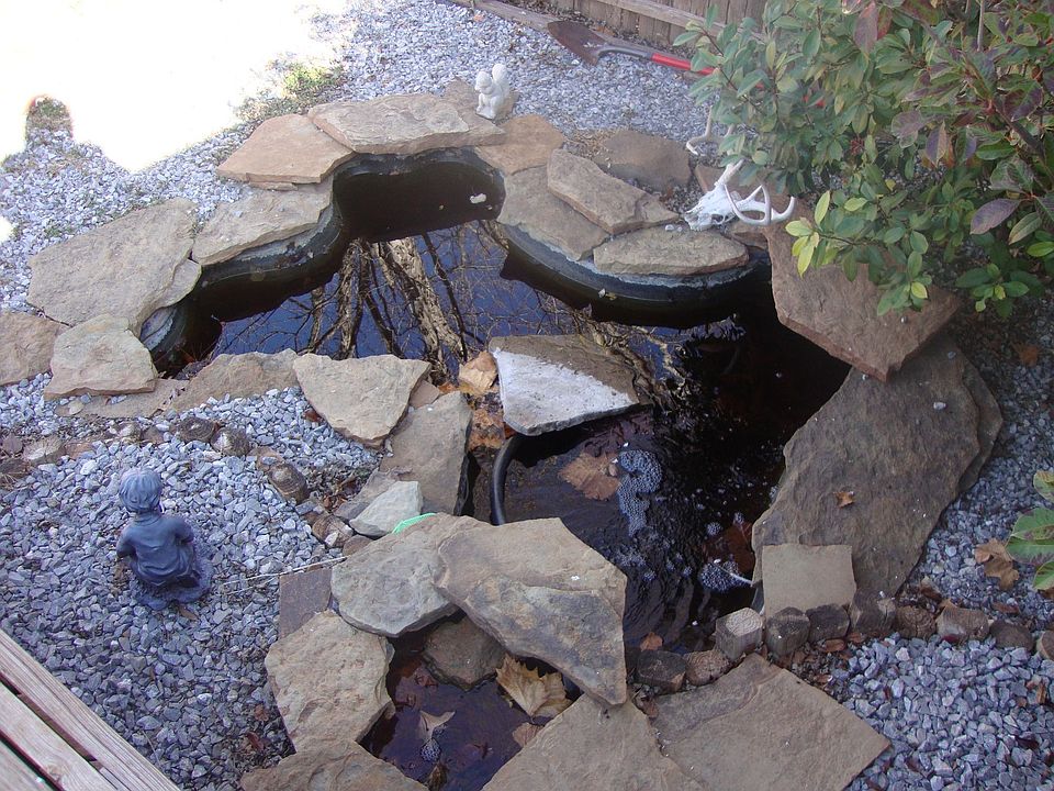 pond