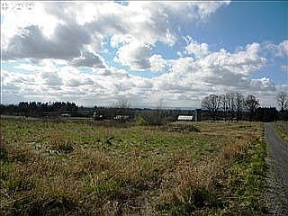 4th image of 29403 NE 112th Ave