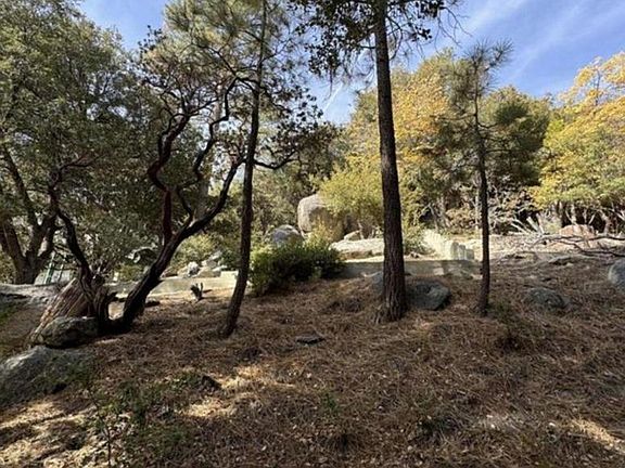 4th image of 53642 Jeffrey Pine Rd