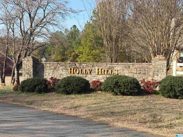 0 Willow Creek Dr Unit 35, Lincoln, AL 35096