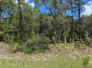 9700 N Lois Ter, Citrus Springs, FL 34433
