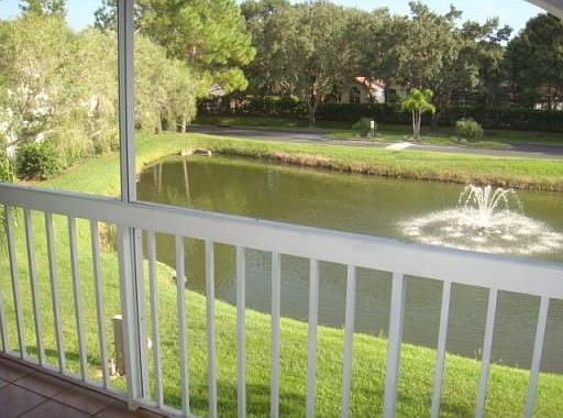 Pond View
