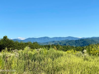 597 & 617 Curtis Rd, Tellico Plains, TN, 37385