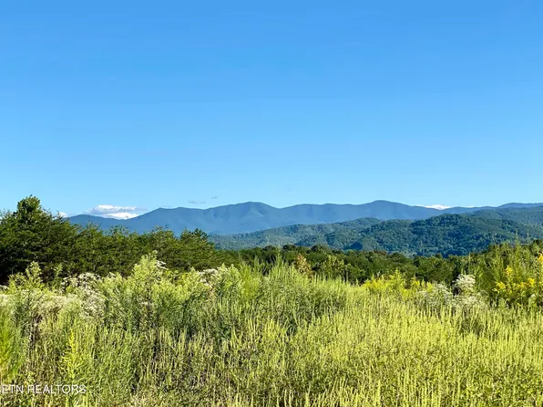 597 & 617 Curtis Rd, Tellico Plains, TN 37385