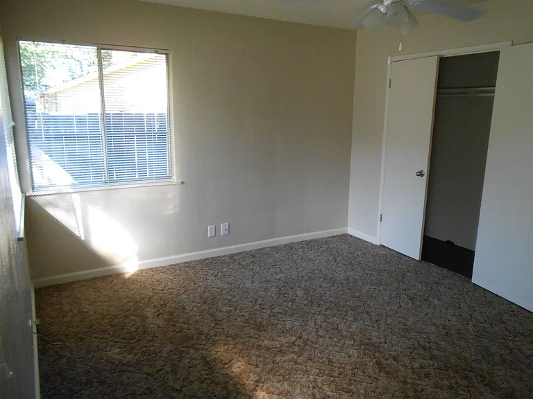 Phoenix Apartments — Photo 7