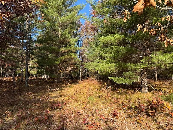 3rd image of PARCEL 13 E County Line Rd