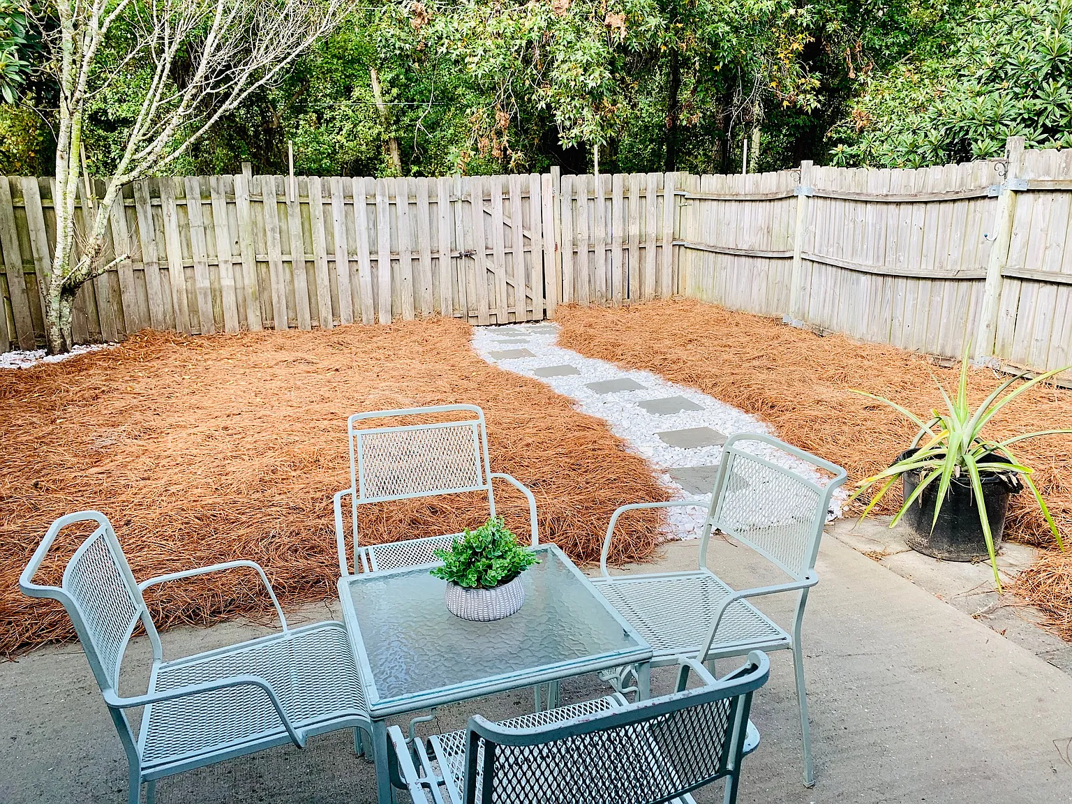 1315 Pinnacle Ln — Photo 2