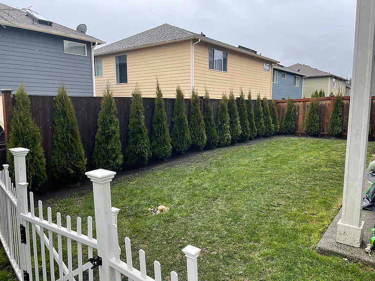 102 194th Pl SW — Photo 29