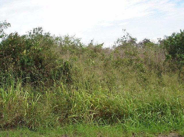 2nd image of Catamaran Ln Lot 29
