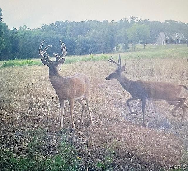 2nd image of Elk Head Rd
