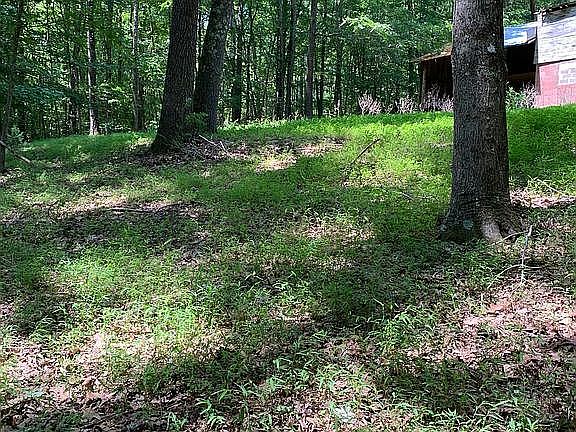 3rd image of 1946 Park Ln