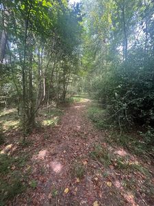 0 Wells Rd, Smithdale, MS, 39664