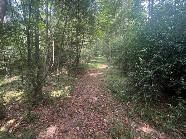 0 Wells Rd, Smithdale, MS 39664