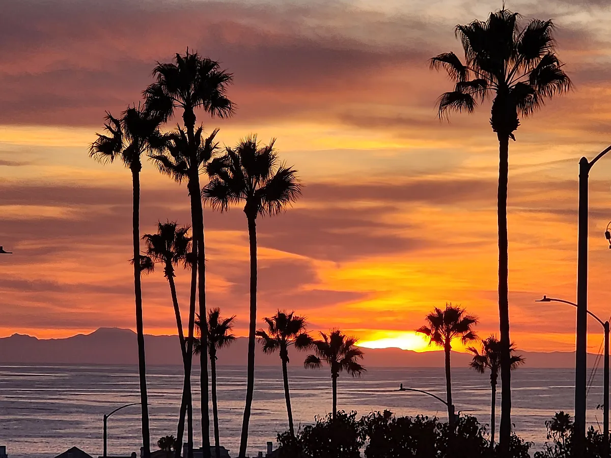 Amazing California sunsets with those Catalina views! - 220 Nice Ln #201
