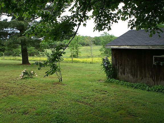 Part of back yard
