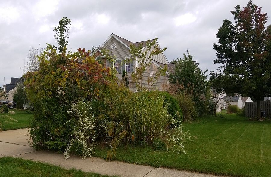 8283 Rachel Ln, North Ridgeville, OH 44039 Zillow