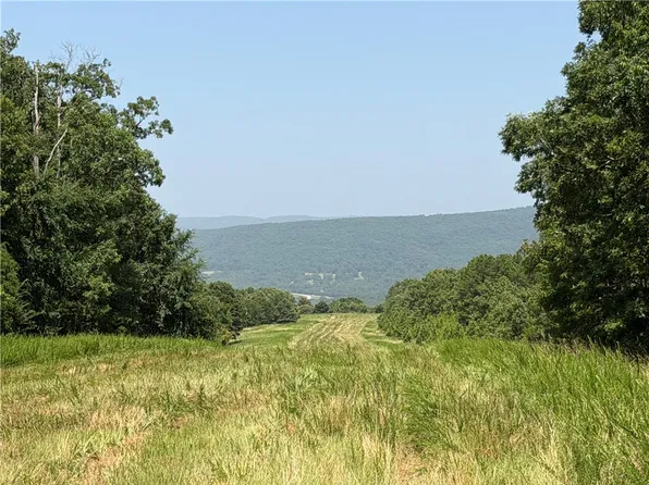 1 Madison 3202 Rd, Huntsville, AR 72740