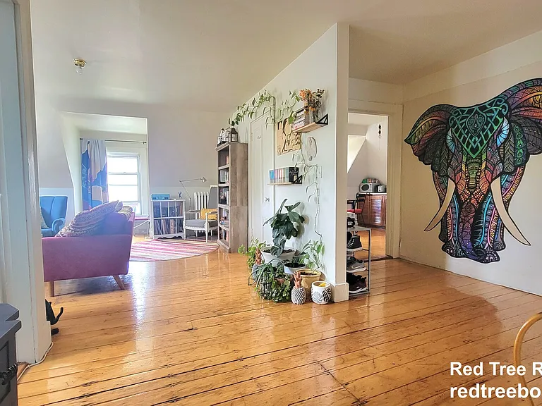 45 Auburn St #3 — Photo 17