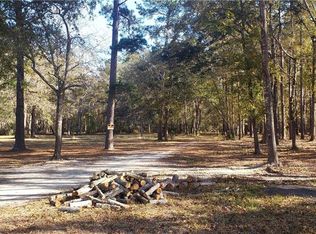 127 Frugality Hall Rd, Richmond Hill, GA 31324