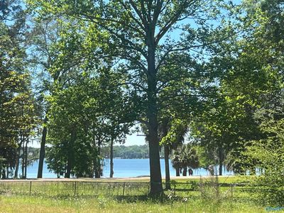23323 4th Ave, Florala, AL, 36442