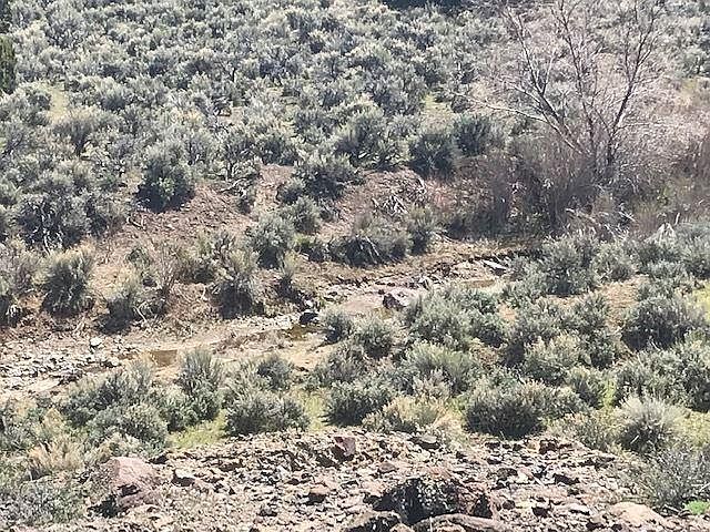 2nd image of 2900 Lousetown Rd