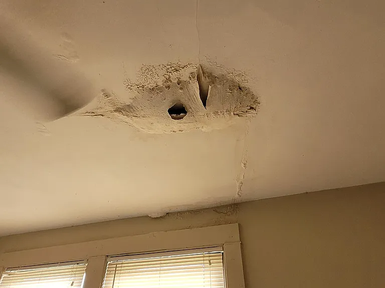222 Grant Ave — Photo 12