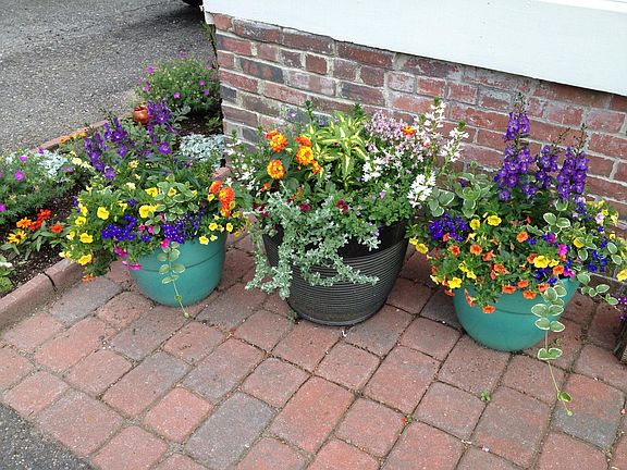 Yes, I love to garden. Driveway located on left side of house.