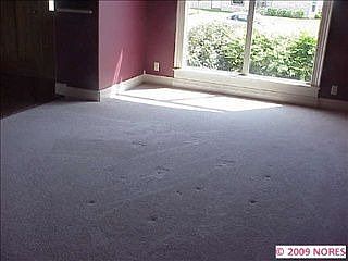 4th image of 6953 S 309 East Ave