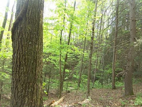 3rd image of 0 Tarpine Valley Dobson Hollow Ln