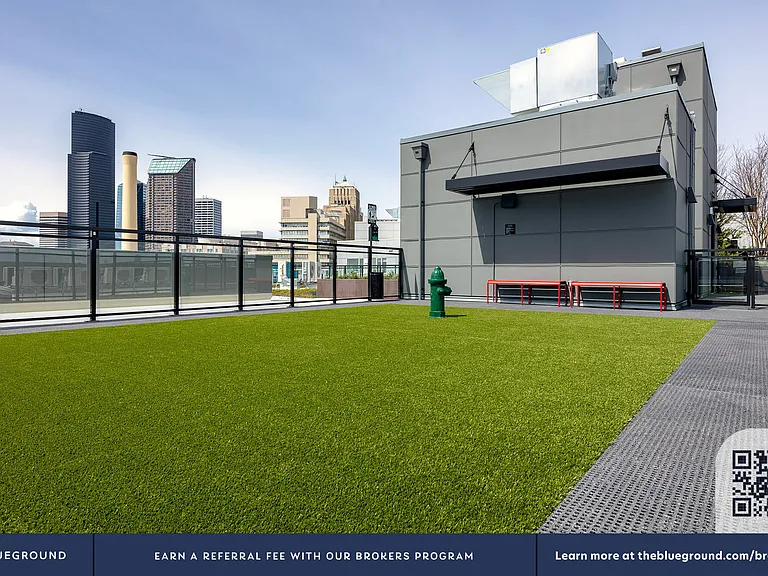 Building's Pet area