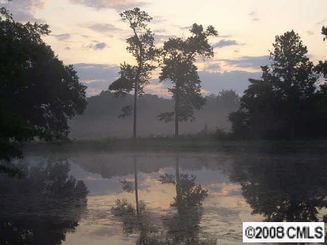 Peaceful pond