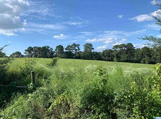 6916 County Road 49 #1, Ranburne, AL 36273