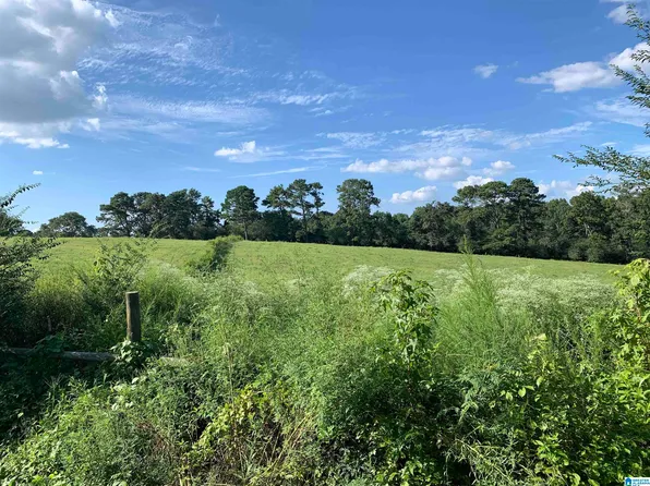 6916 County Road 49 #1, Ranburne, AL 36273