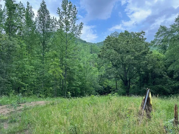 9.11 Egypt Hollow Rd, Whiteside, TN 37396