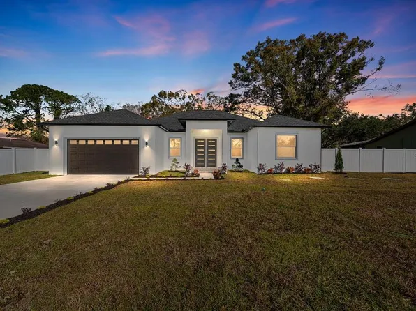 22227 River Rock Dr, Land O Lakes, FL 34639