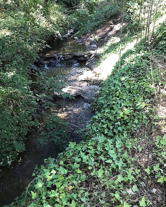 2nd image of 16480 Applegate Rd