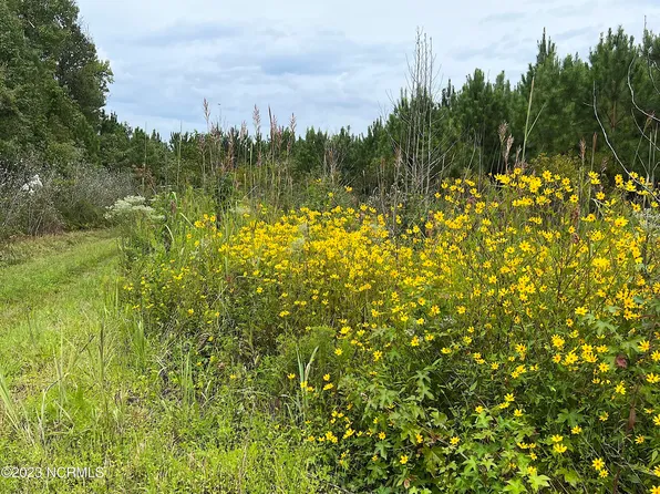 E Tebo Road, New Bern, NC 28562