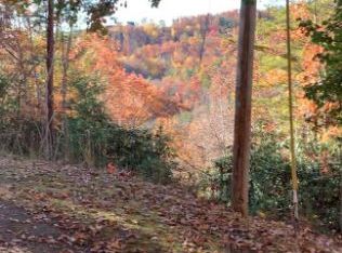 Mathis Hollow Rd, Gatlinburg, TN 37738