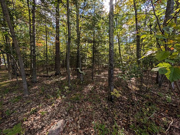5th image of 84 Bluegill Lake Rd