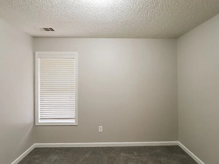 4739 Browns Mill Ferry Rd — Photo 12