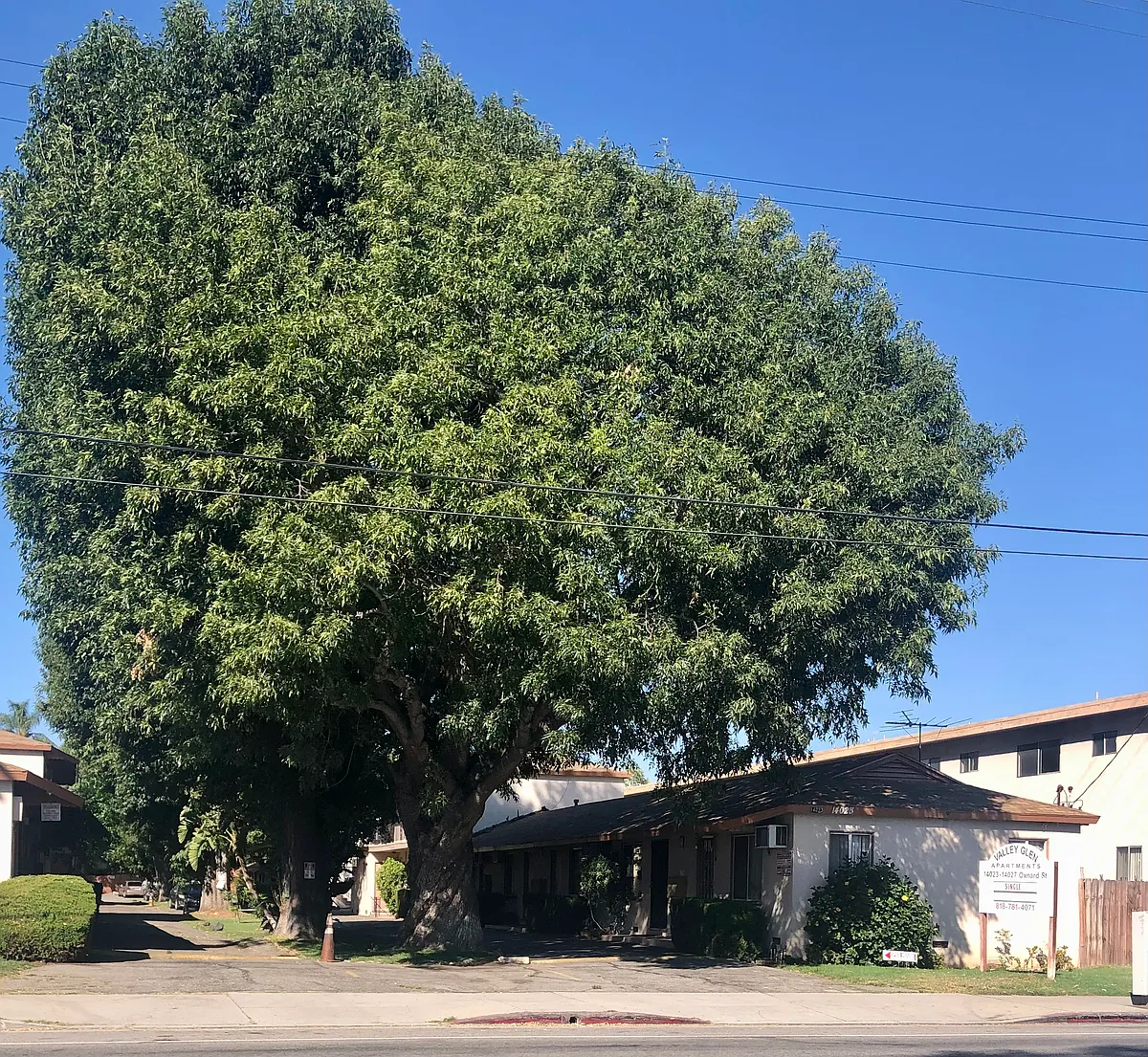 Building Photo - Oxnard St