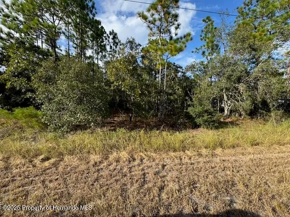 0 Telescope Ave, Brooksville, FL 34614