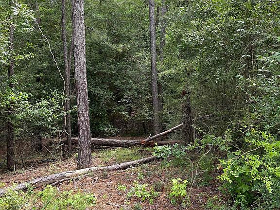 3rd image of Wilkins Creek Ct