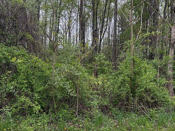 3rd image of W Quimby Rd