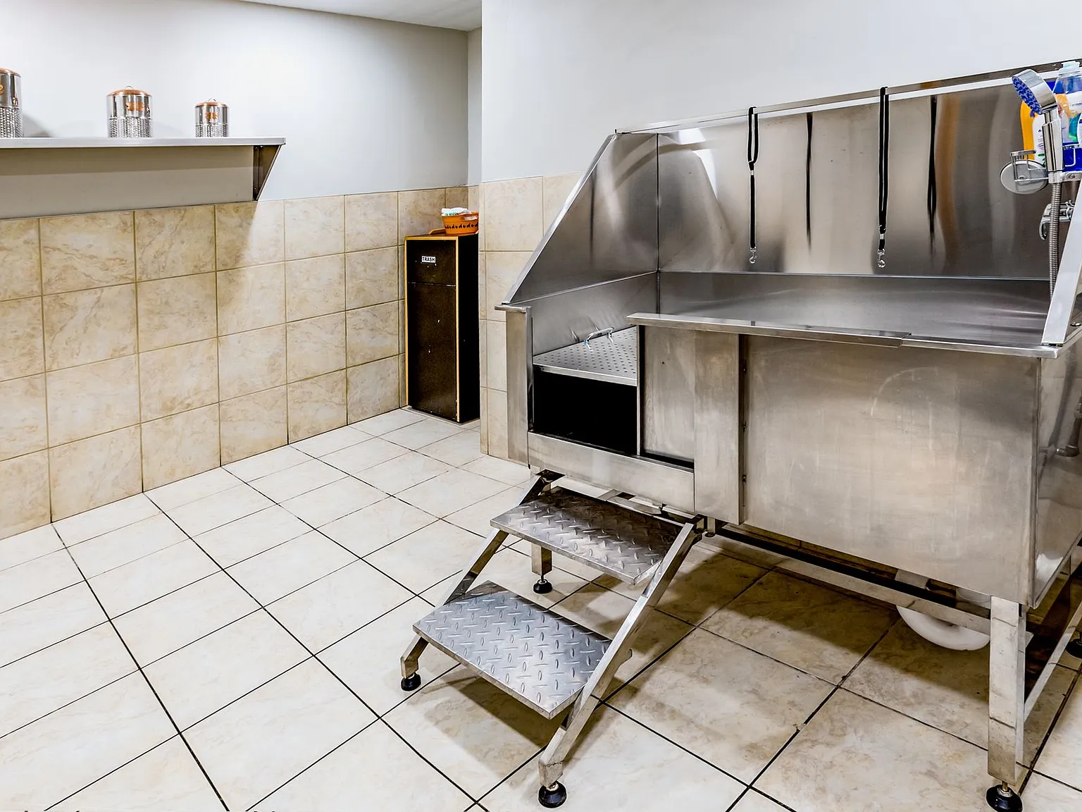 The Vibe at 8035 Apartments — Photo 4